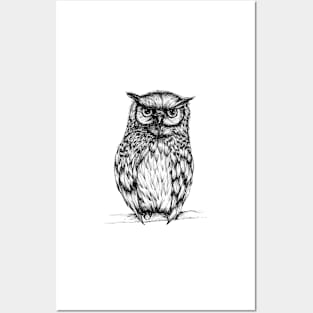 Inked Owl Posters and Art